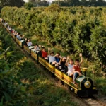 Le Petit Train du Bocage traversant une prairie bordée de haies avec des enfants qui saluent